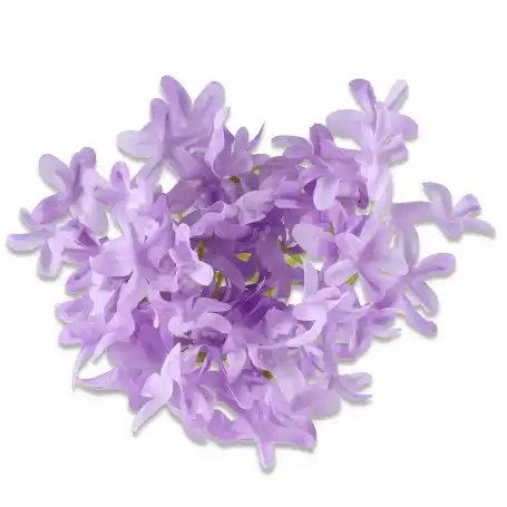 Bez główka kwiatowa