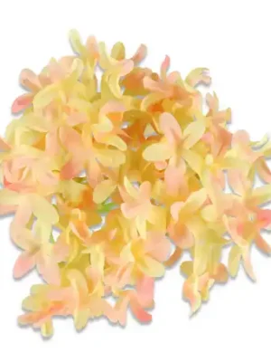 Bez główka kwiatowa