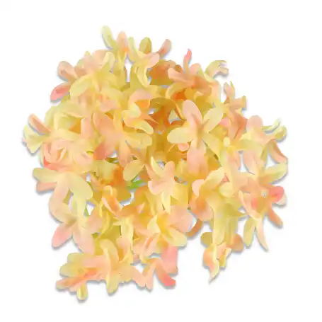 Bez główka kwiatowa