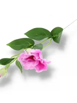 Eustoma gałązka pojedyncza