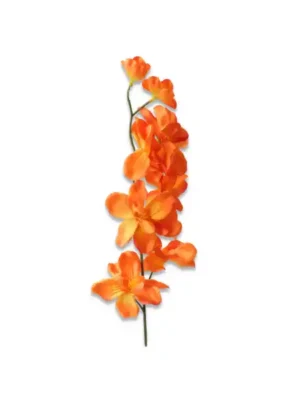 Gałązka Hanny pojedyncza