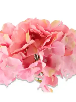 Hortnesja główka kwiatowa