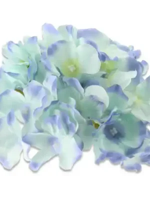 Hortnesja główka kwiatowa