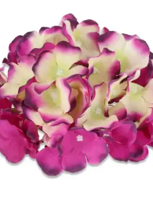 Hortnesja główka kwiatowa