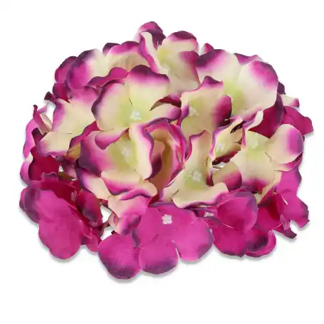 Hortnesja główka kwiatowa