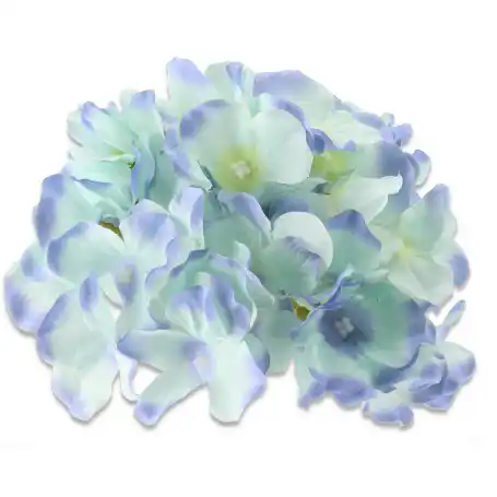 Hortnesja główka kwiatowa