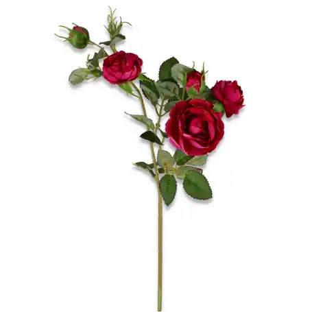 Róża gałązka mini