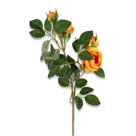 Róża gałązka mini  żółta