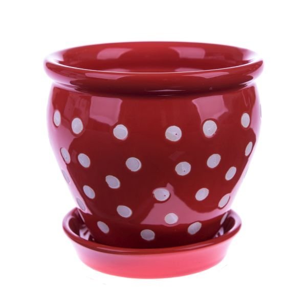 Ceramiczna doniczka z podstawką