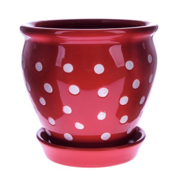 Ceramiczna doniczka z podstawką, większa