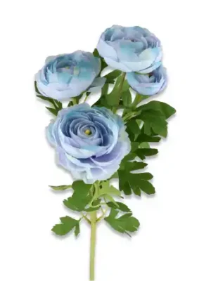 Pełnik gałązka niebieska