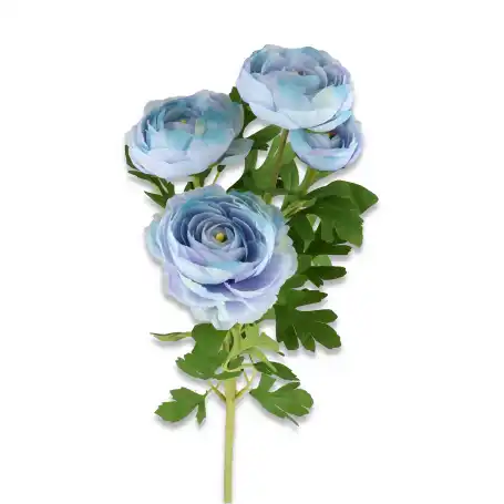 Pełnik gałązka niebieska